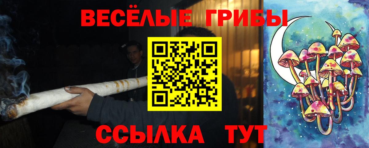 Дзержинский  Псилоцибиновые грибы прущие грибы  Псилоцибиновые грибы Psilocybe  Вход с VPN 