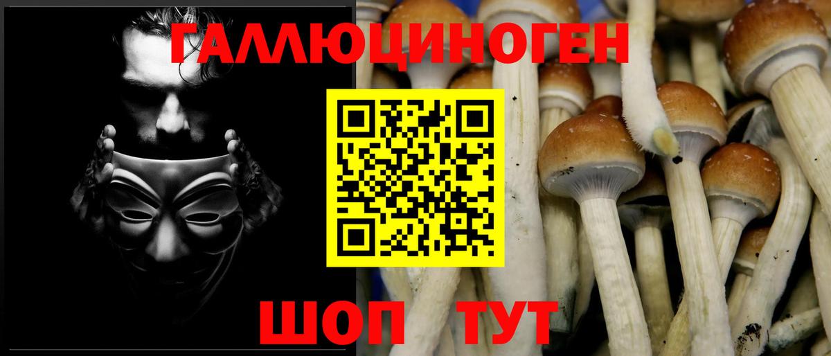Галлюциногенные грибы мицелий Дзержинский